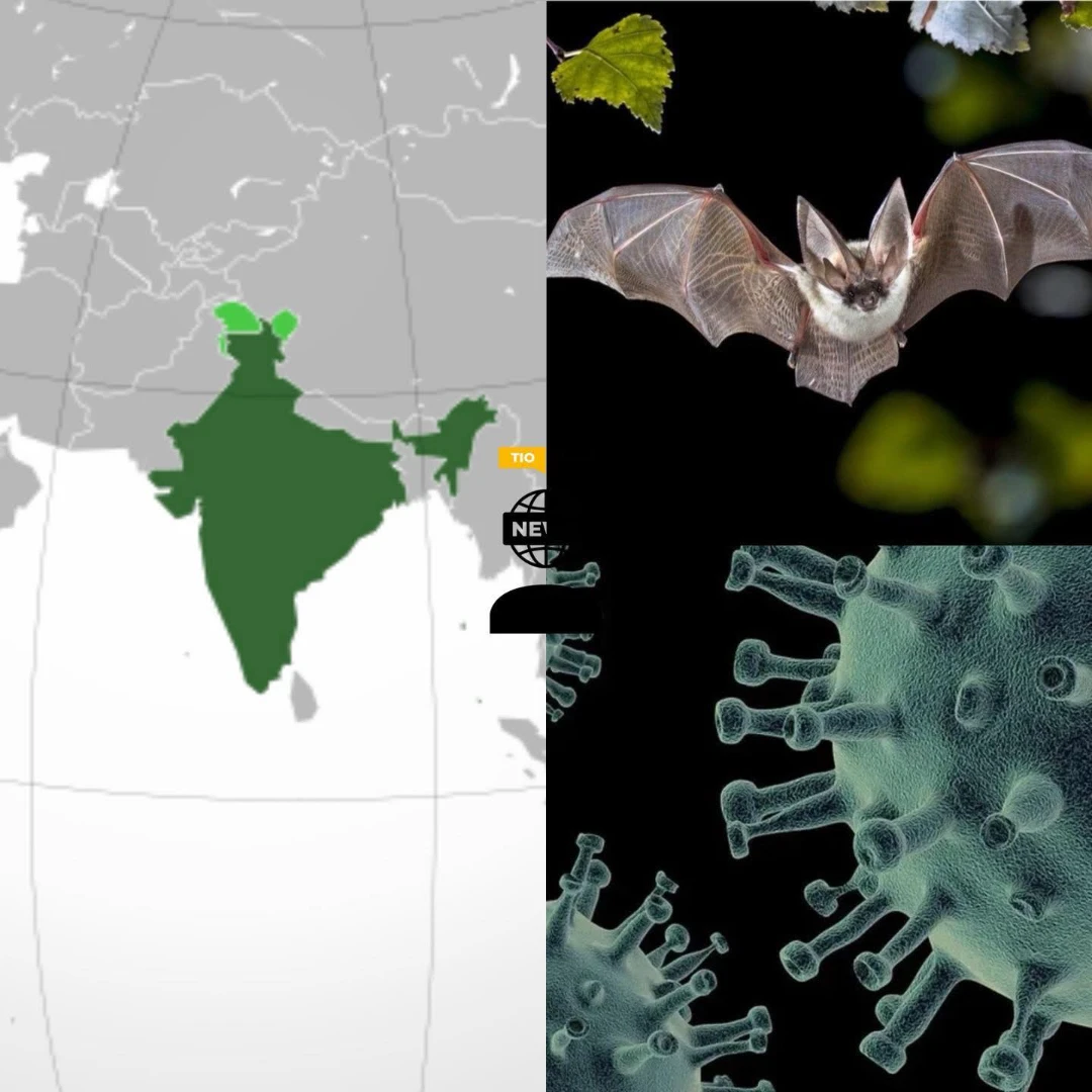 💔 Lamentable | Brote de virus Nipah en India
