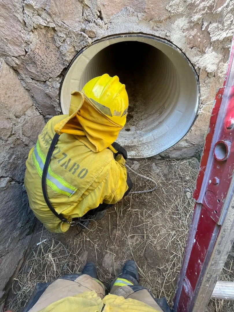 Bomberos de Ezequiel Montes rescatan a canino atrapado en un registro de agua