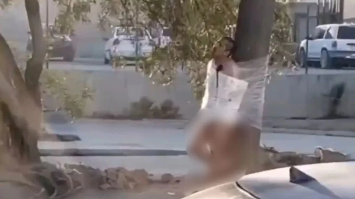 📰 Hallan a hombre desnudo y emplayado a un árbol con letrero en Tijuana
