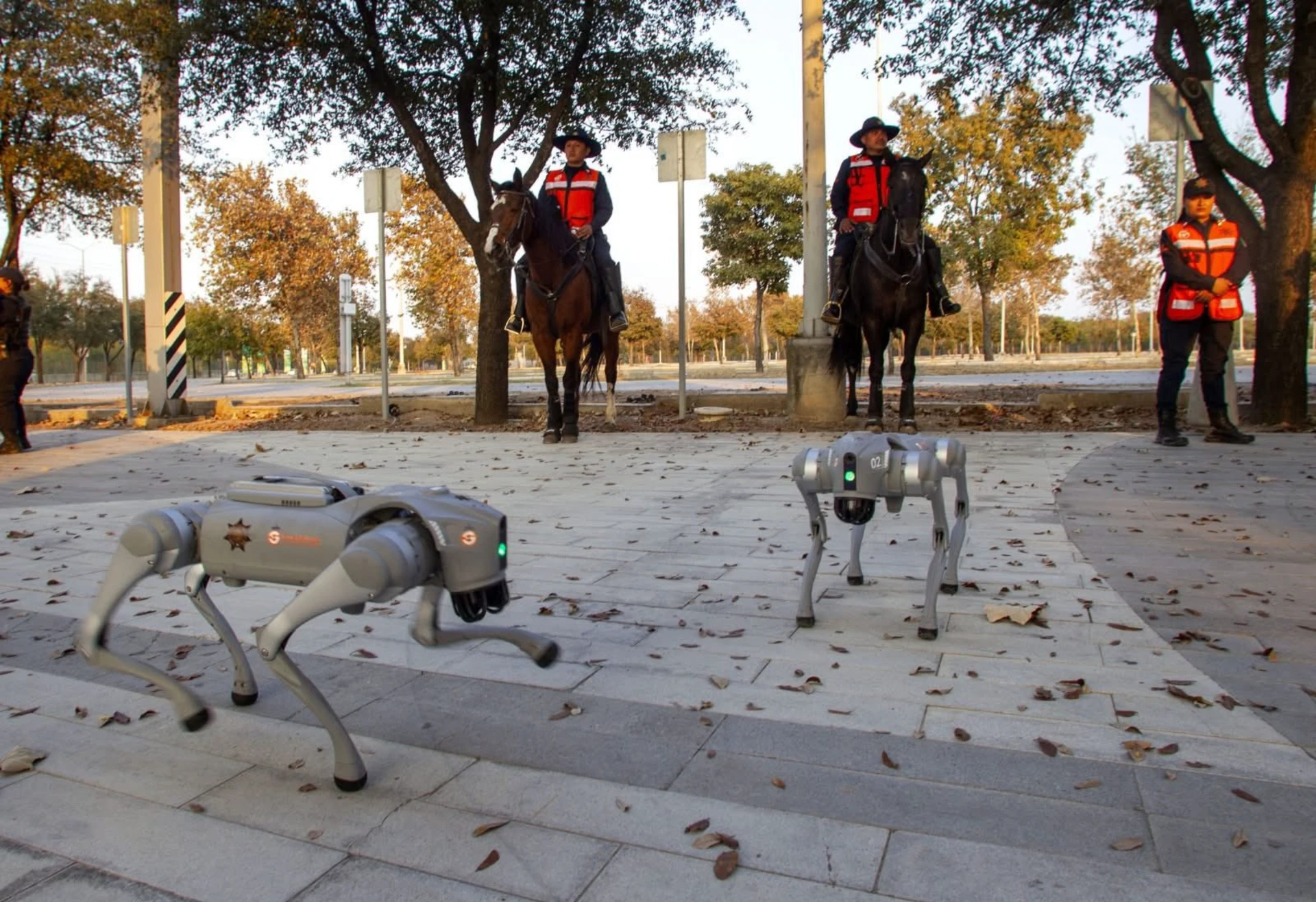 ⚽🤖 División K9-X reforzará la seguridad en el Estadio Monterrey durante el Mundial 2026