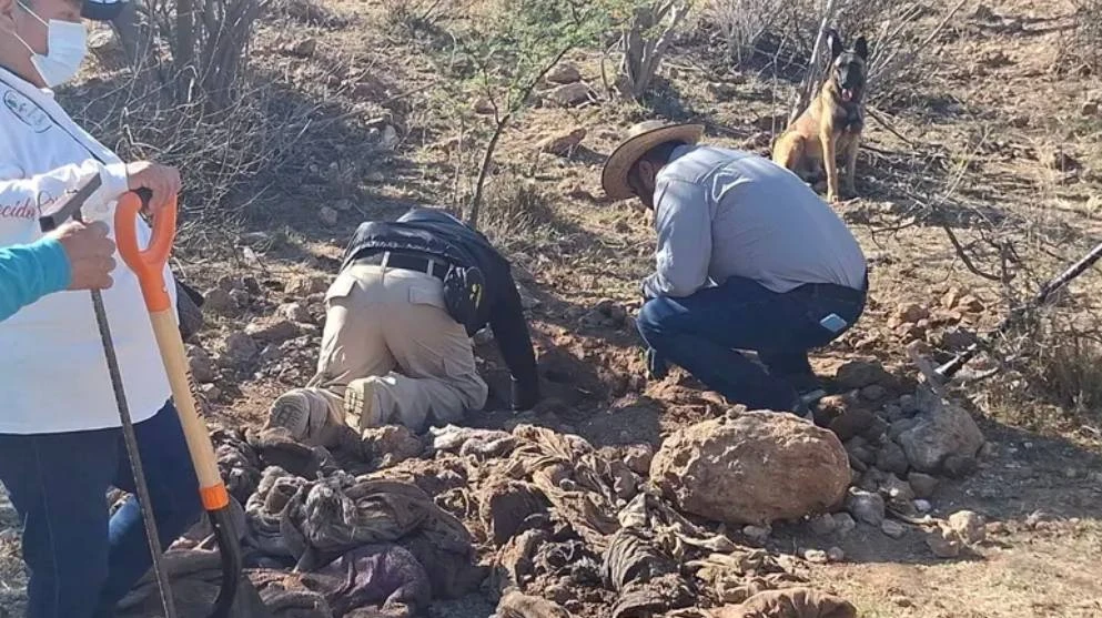 Fiscalía mantiene operativos en San Juan del Río; continúan peritajes para determinar identidad de restos hallados