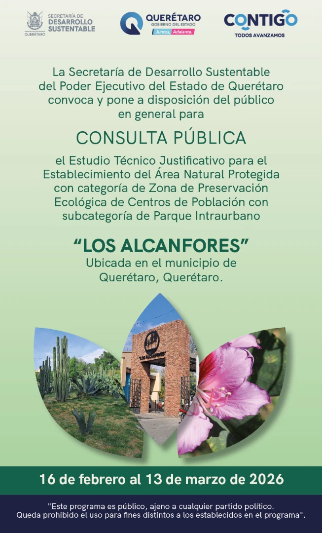 Abren consulta pública para declarar el Parque Los Alcanfores como Área Natural Protegida