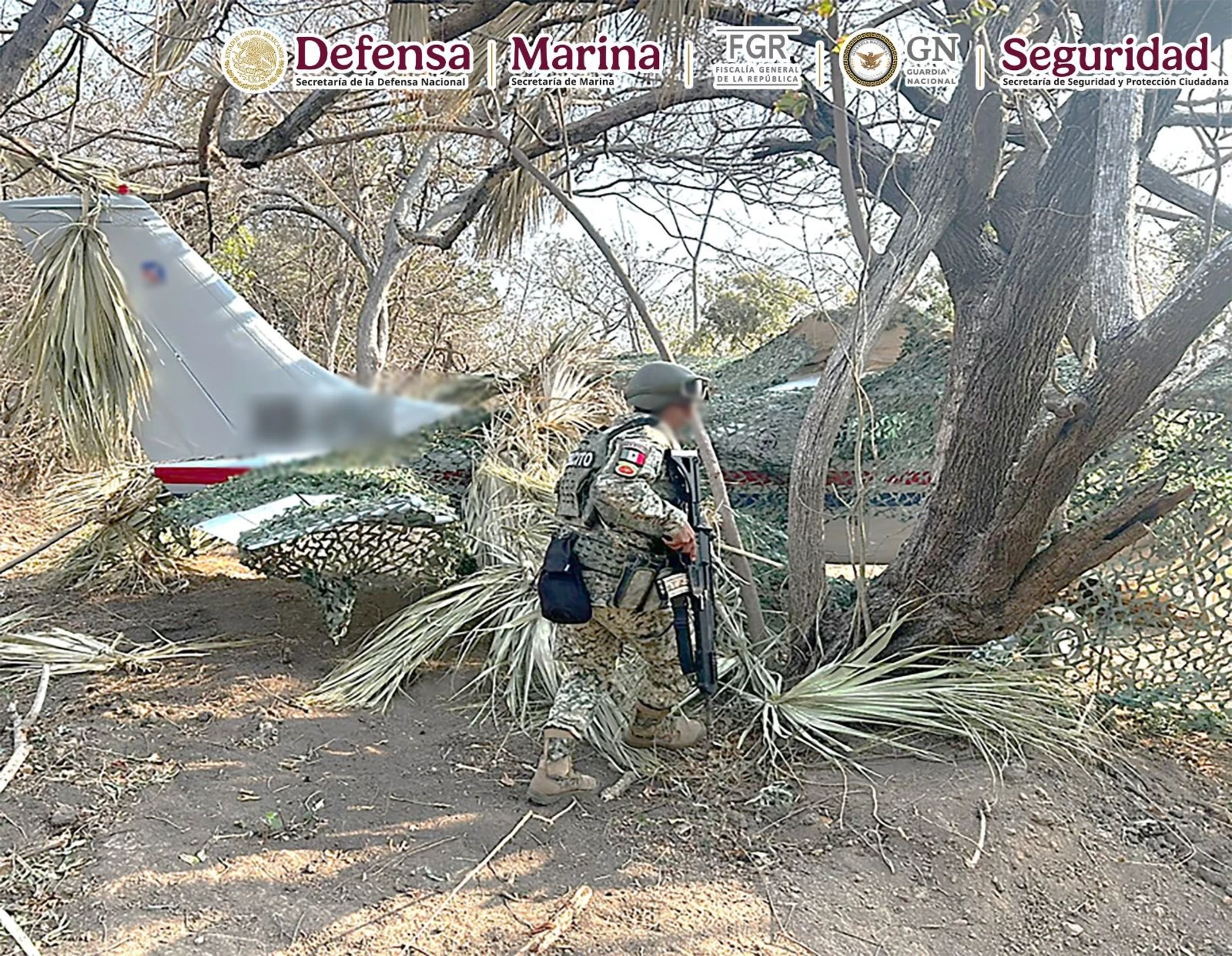 ✈️ Decomisan aeronave con más de media tonelada de cocaína en Oaxaca