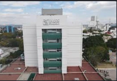 🏥 IMSS estudia habilitar trasplantes renales y de médula en Querétaro