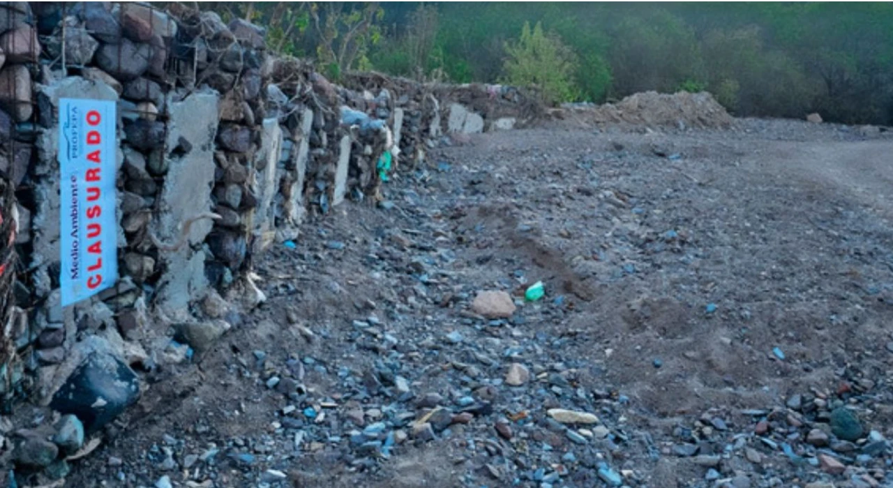🌲 Aseguran aserradero de tala ilegal en la Sierra Gorda, Querétaro