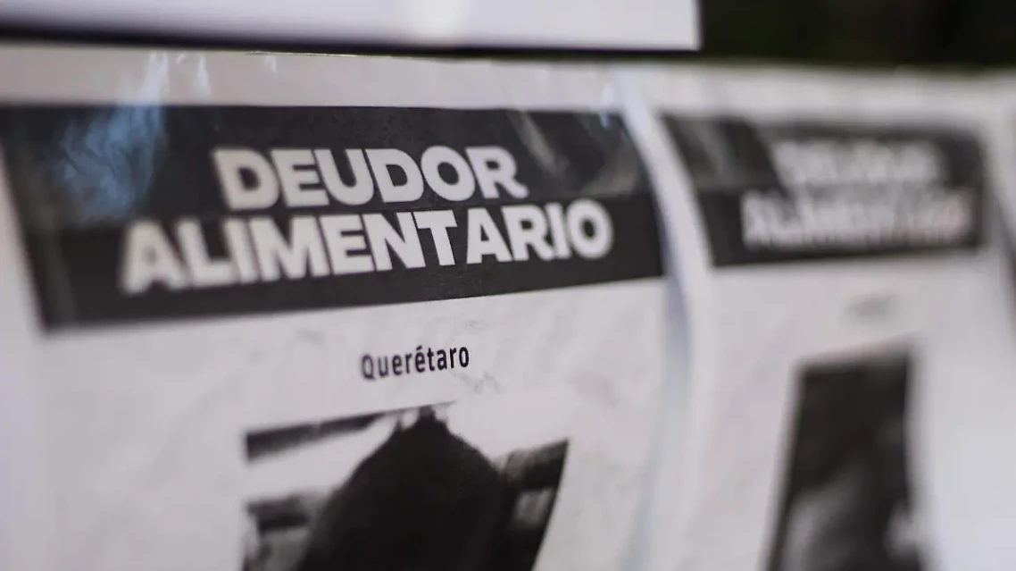 🚨 PROPONEN “DEUDOR ALIMENTARIO SOLIDARIO” PARA GARANTIZAR APOYO A MENORES EN TIEMPO REAL