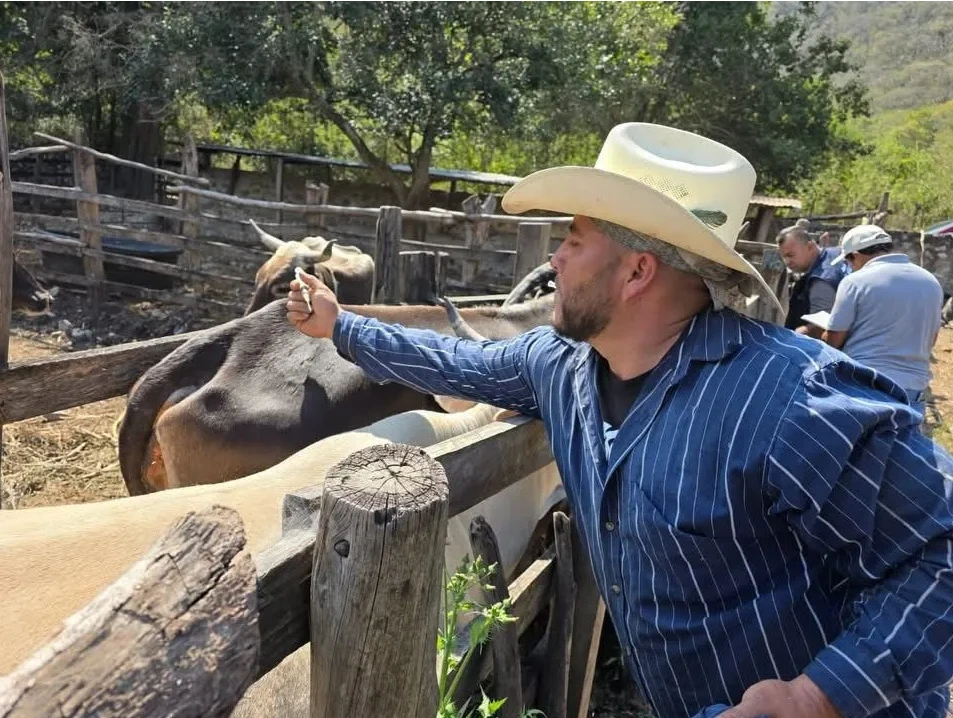 Confirman primer caso de gusano barrenador en San Juan del Río