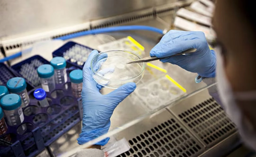 🎙️ ¡Avance histórico! Logran curar el VIH con trasplante de células madre