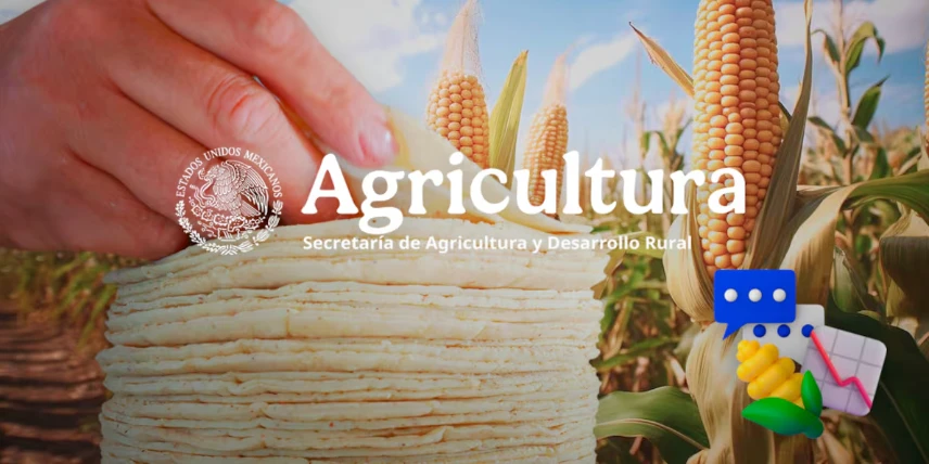 Buscan bajar precio de la tortilla en México con compra directa de maíz