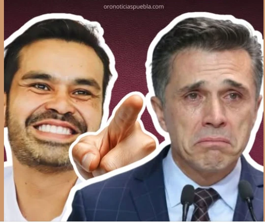 Movimiento Ciudadano rechaza la posible incorporación de Sergio Mayer