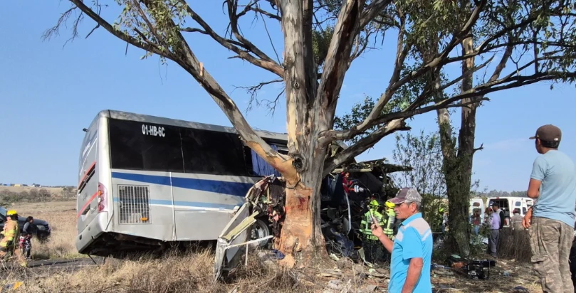 🚨 CONFIRMAN 11 FALLECIDOS POR ACCIDENTE DE AUTOBÚS EN AMEALCO