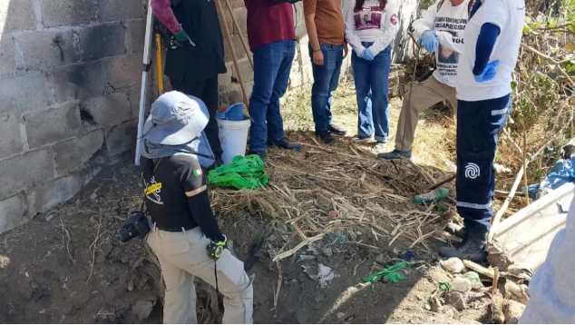 🚨🕊️ Ceci Flores denuncia hallazgo de 28 bolsas con restos humanos cerca del aeropuerto de Guadalajara.