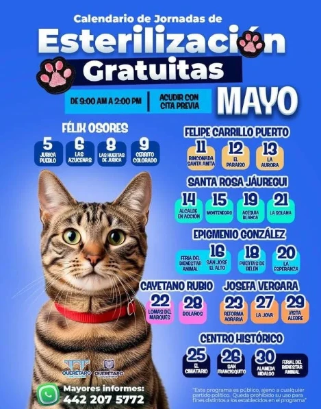 🚨🐶🐱 ANUNCIAN JORNADAS GRATUITAS DE ESTERILIZACIÓN PARA PERROS Y GATOS EN EL MUNICIPIO DE QUERÉTARO DURANTE MAYO.