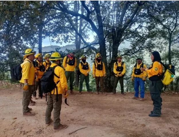 “ABREN 35 KILÓMETROS DE BRECHAS CORTAFUEGO PARA PROTEGER LA SIERRA QUERETANA”